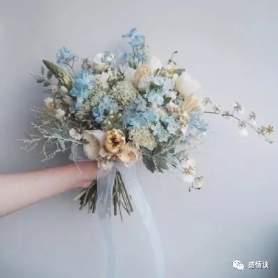 植物大战马里奥2游戏(PvM2_EarlyPreAlpha)下载