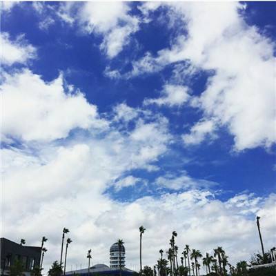 邪风曲手游公测版下载