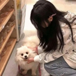 帝国王座内购破解版下载